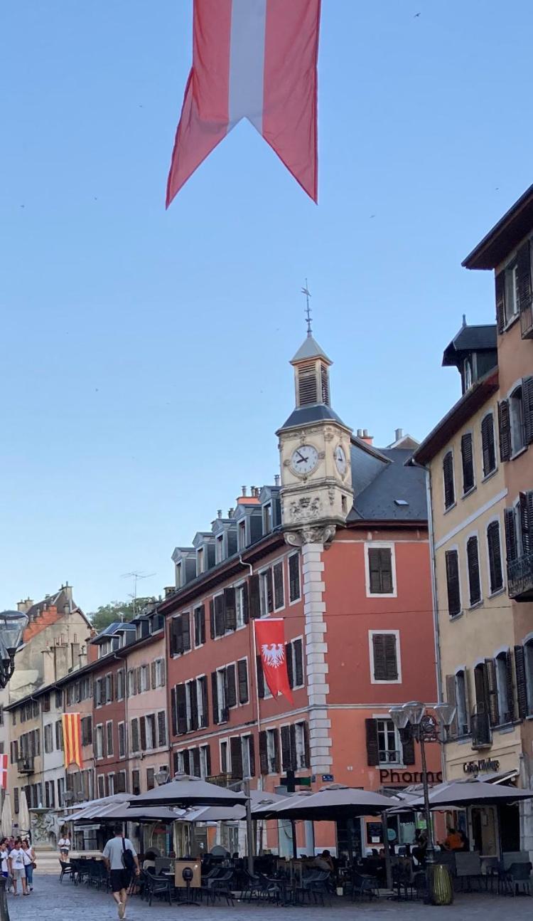 Moonlight Apartment Chambery Luaran gambar